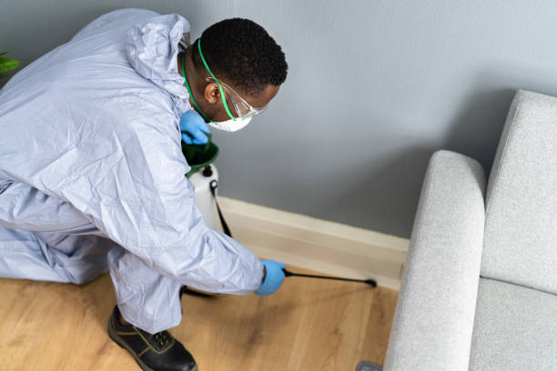 Emergency Pest Control Services in Mount Pleasant, NC